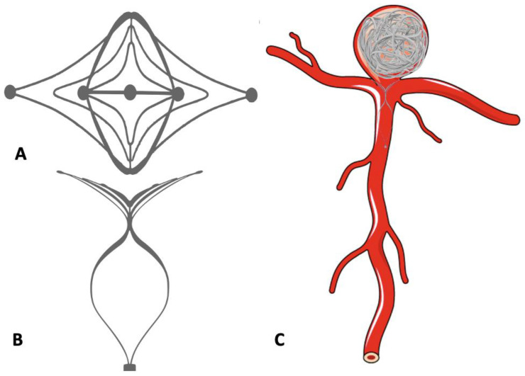 Figure 8