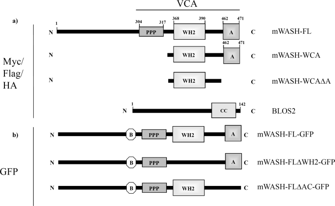 FIGURE 1.