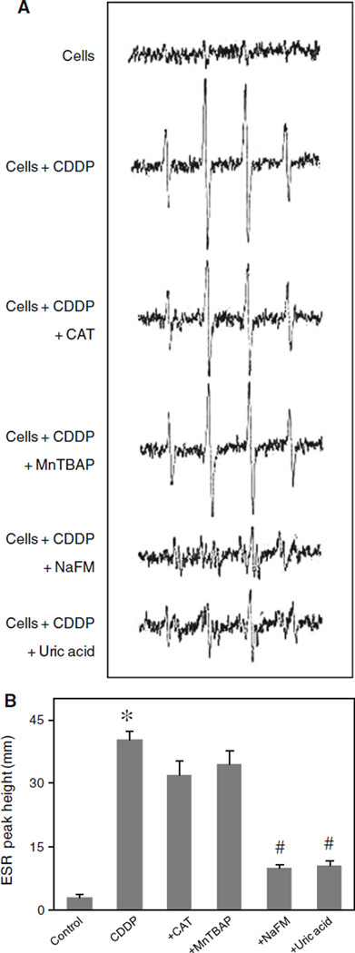 Fig. 4