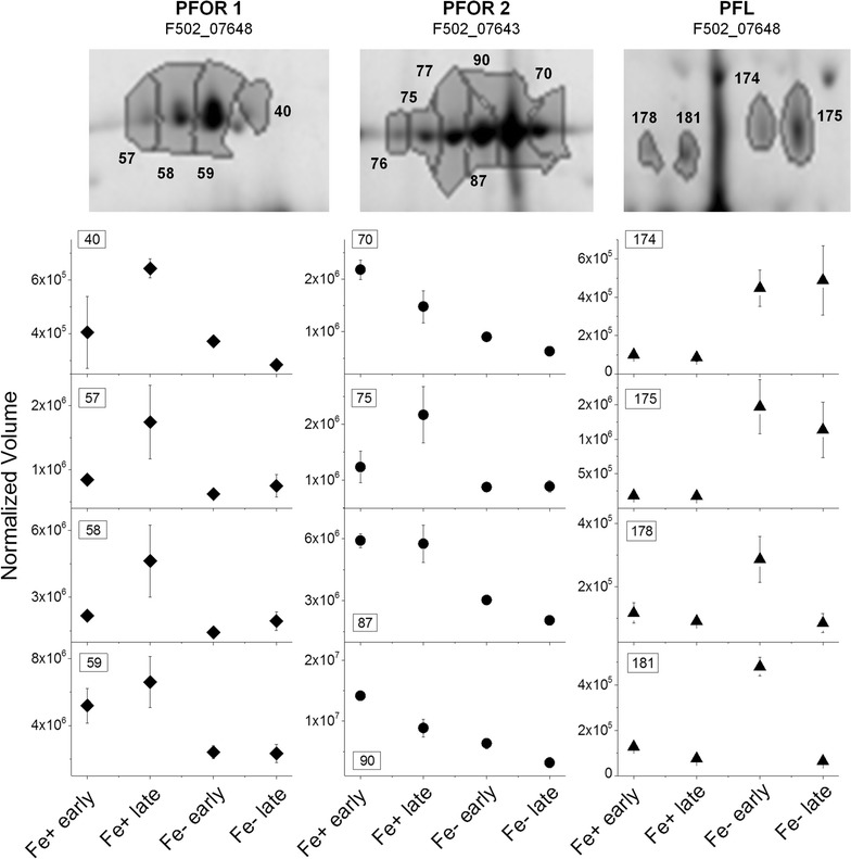 Fig. 4