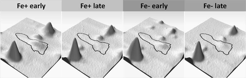 Fig. 6