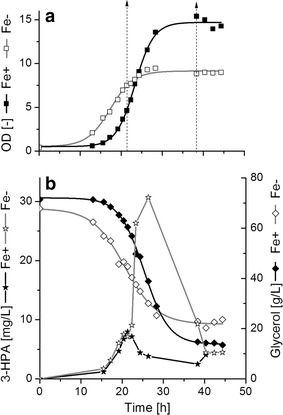 Fig. 1