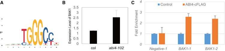 Figure 6.