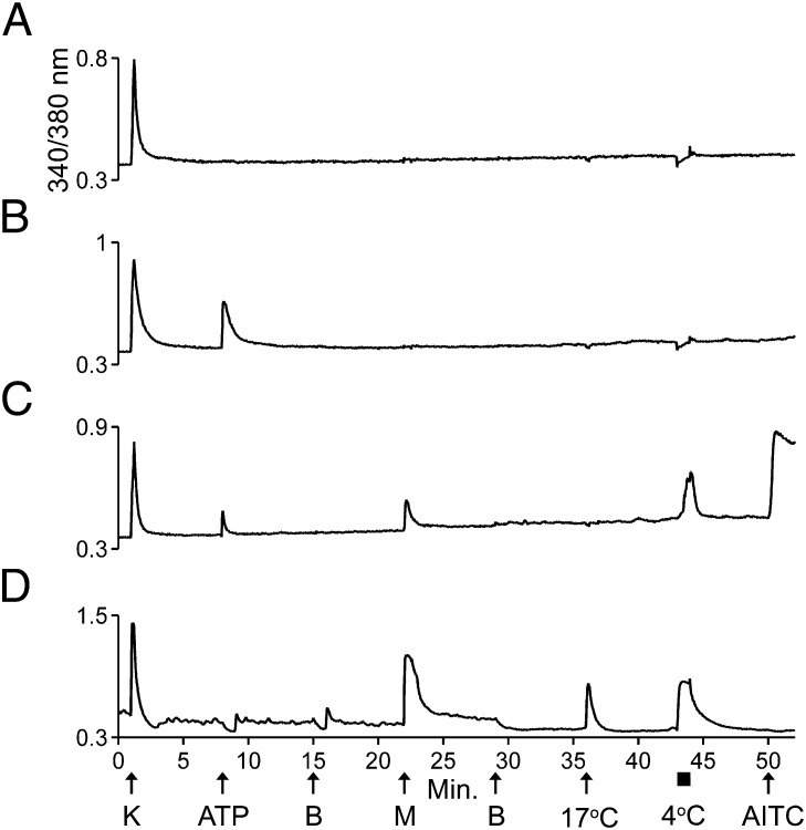 Fig. 4.