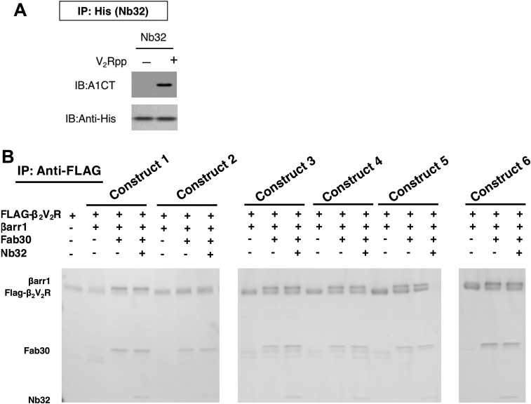 Fig. S1.