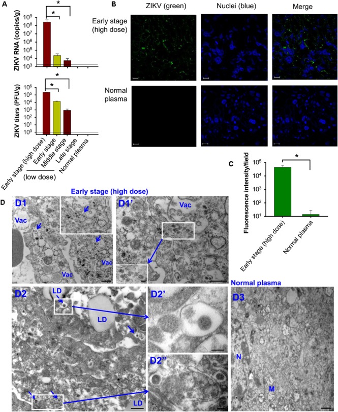 FIGURE 4