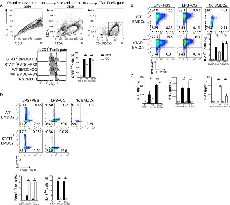 Figure 2 –