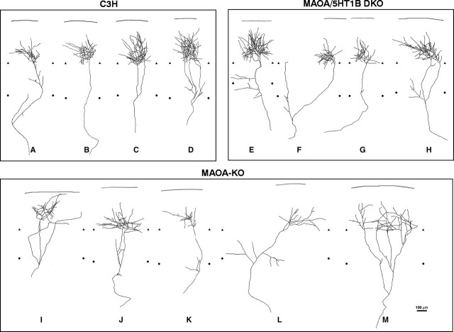 Fig. 9.