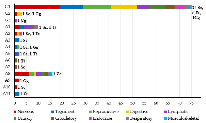 Figure 7