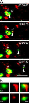 Figure 3.