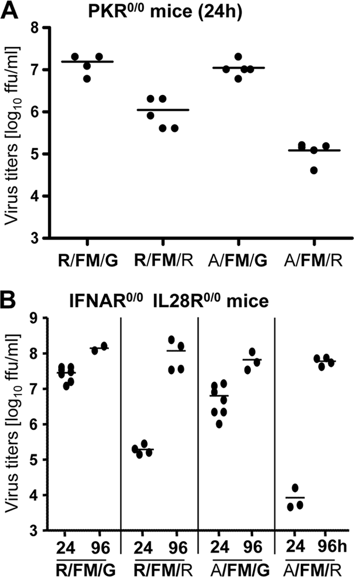 FIG. 6.