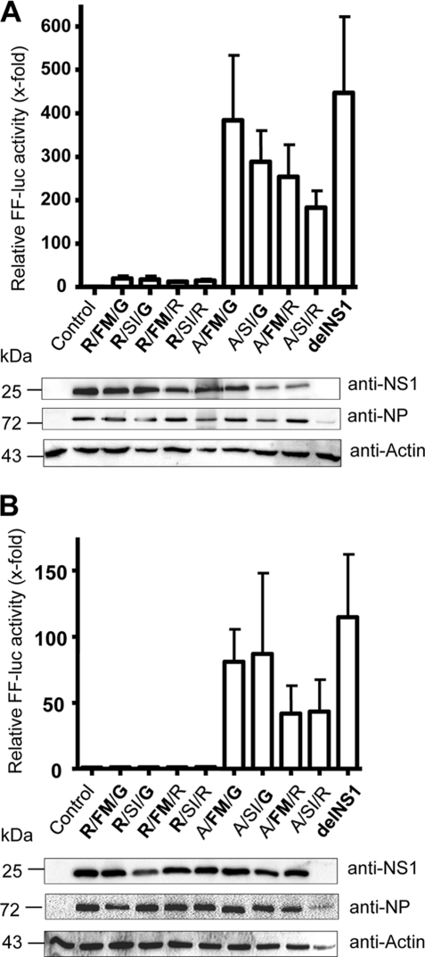 FIG. 3.