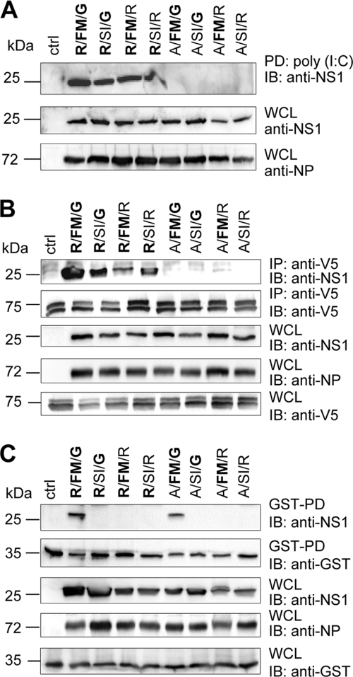 FIG. 4.