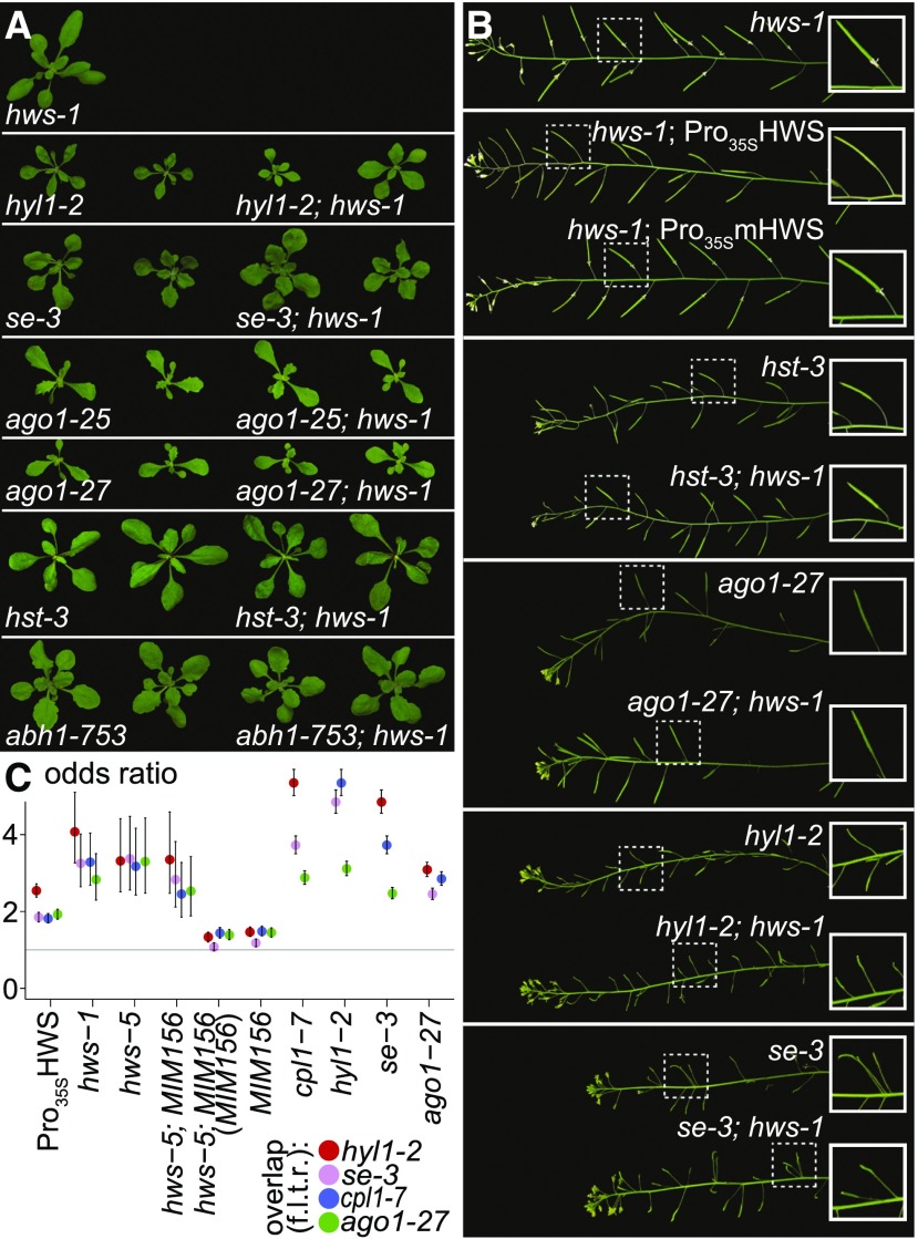 Figure 4.