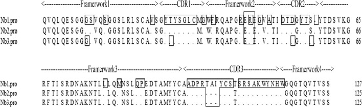 Fig. 3