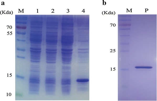 Fig. 4