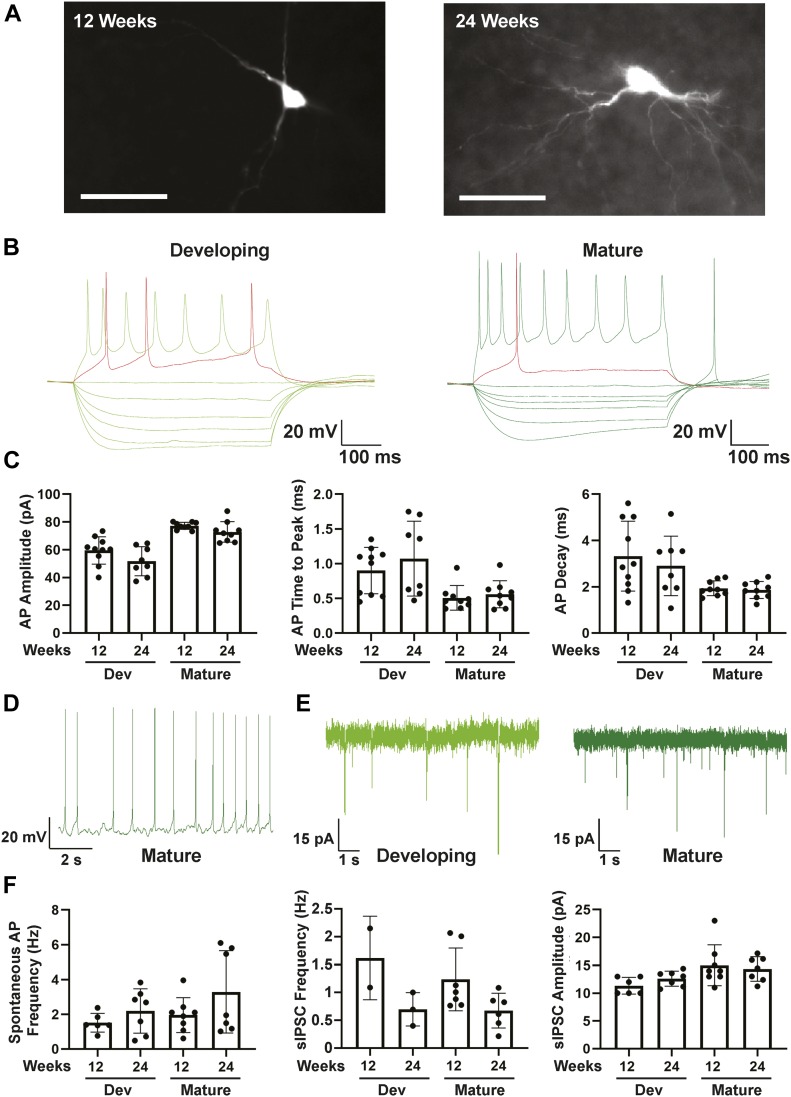 Figure 5.