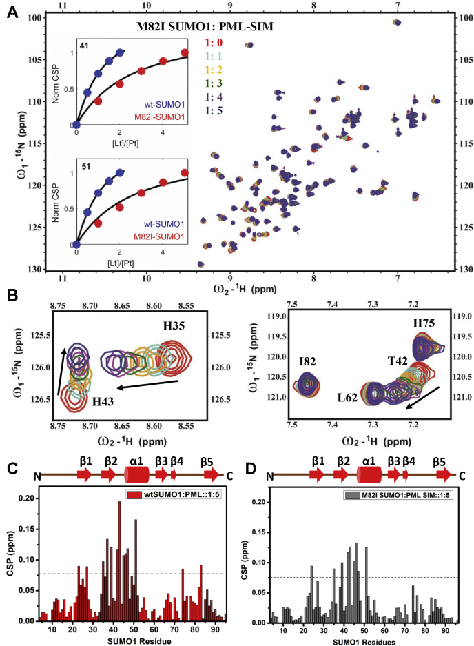 Figure 6