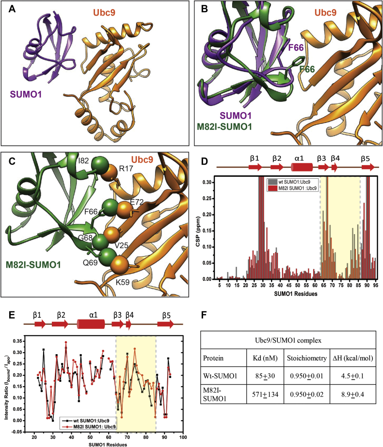 Figure 7