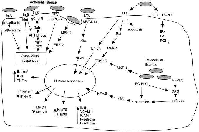 FIG. 14