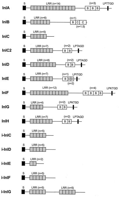 FIG. 7