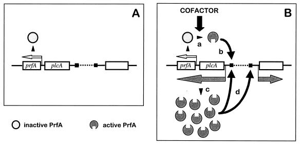 FIG. 13