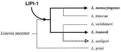 FIG. 9