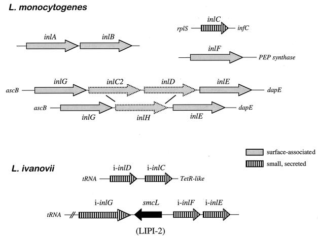 FIG. 10