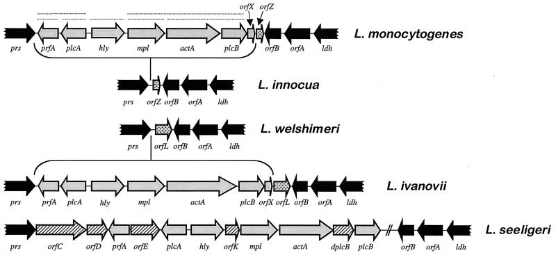 FIG. 8