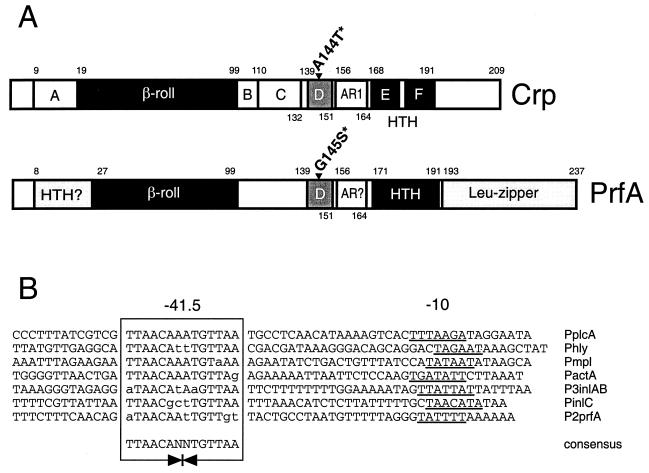 FIG. 11