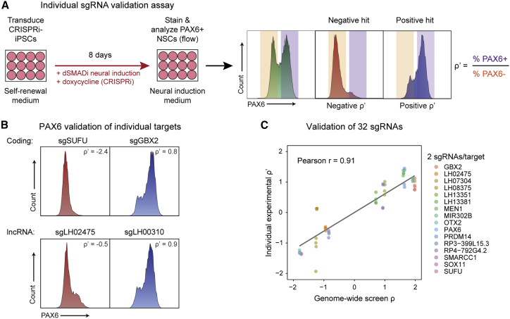 Figure 2