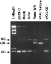 FIG. 5.