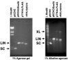 FIG. 6.