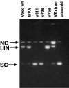 FIG. 2.