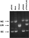 FIG. 3.