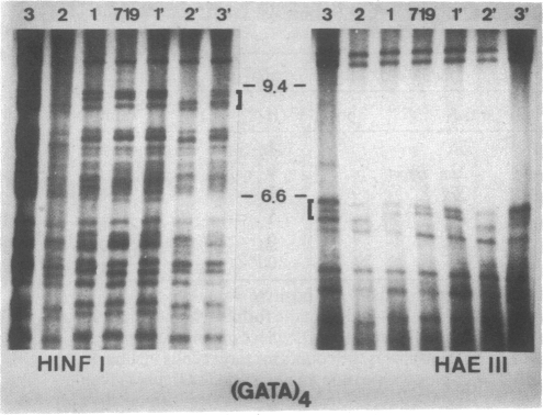 graphic file with name pnas00296-0225-a.jpg