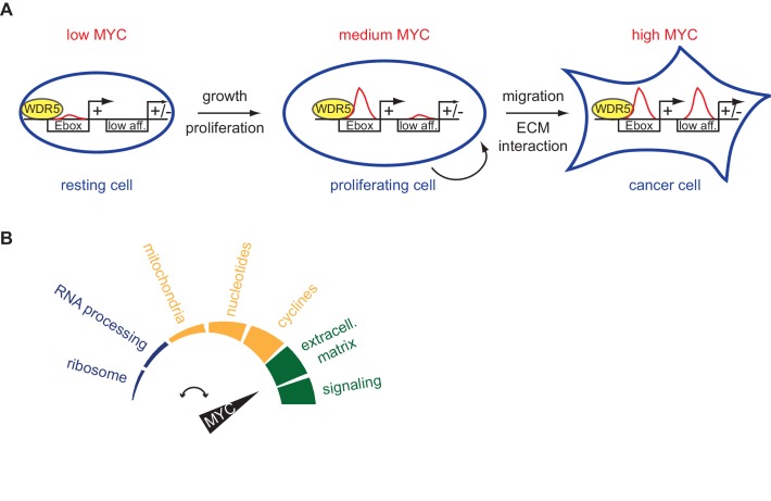 Figure 7.