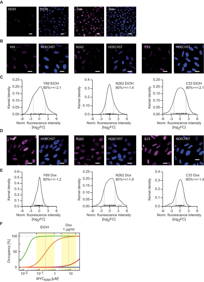 Figure 2—figure supplement 2.