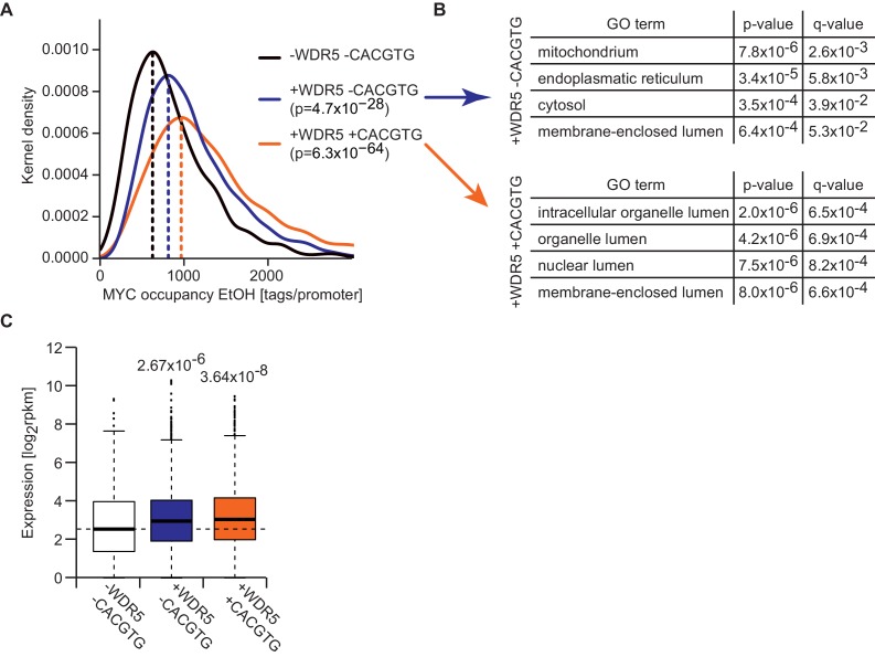 Figure 4—figure supplement 2.