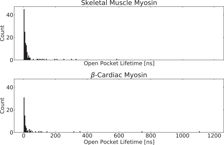 Figure 5—figure supplement 1.