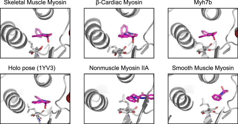 Figure 6—figure supplement 3.