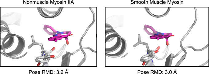 Figure 6—figure supplement 4.