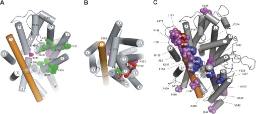 Fig. 8.