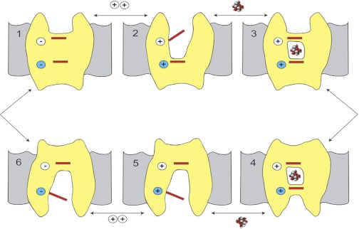 Fig. 1.