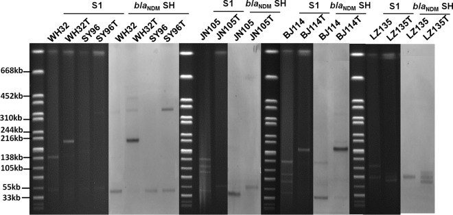 FIG 2