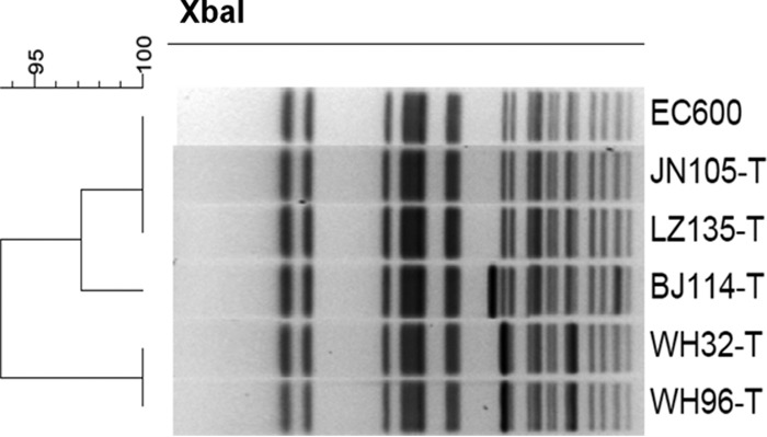 FIG 3