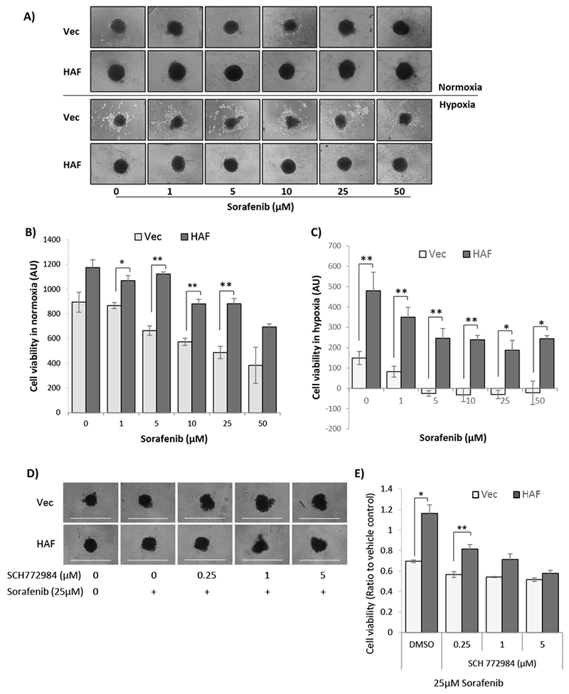 Figure 6: