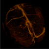 Fig.1