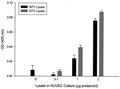 FIG. 10.