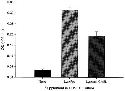 FIG. 9.